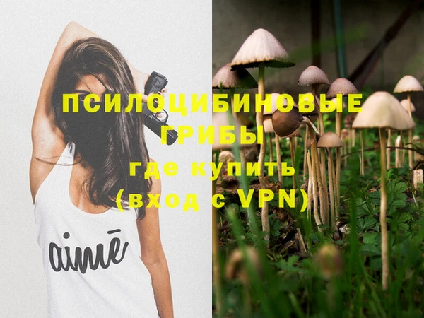 МДПВ Балахна
