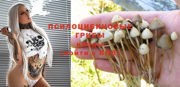 PSILOCYBIN Баксан